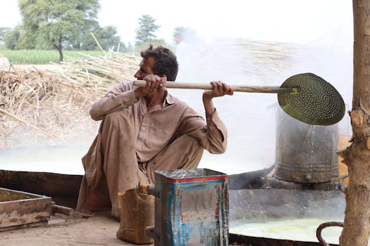 Hazard v Las Vegas: Boon nebo Bane pro místní život?