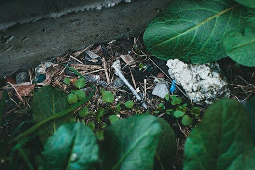 Hazard v Austrálii: Skryté Nebezpečí pro Duševní Zdraví